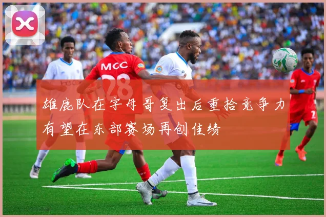 雄鹿队在字母哥复出后重拾竞争力有望在东部赛场再创佳绩