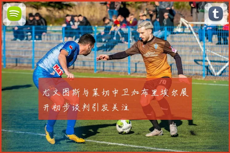 尤文图斯与莱切中卫加布里埃尔展开初步谈判引发关注